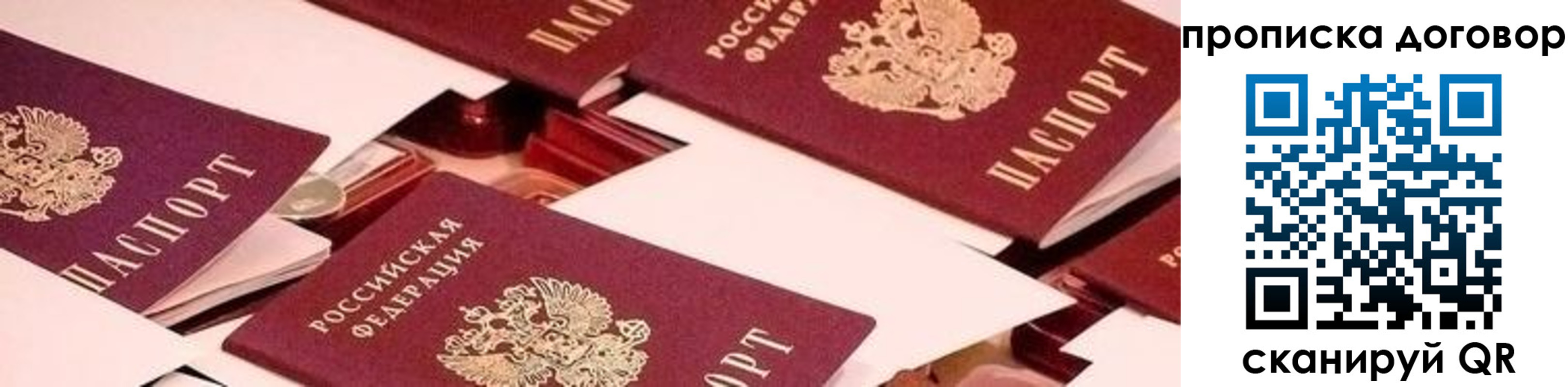 прописка 2025 в Волгоградской области